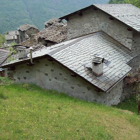 Appartamentino Nel Bosco Sondrio Exterior foto